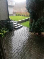 IMG_20220709_191315.jpg