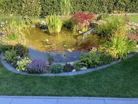 IMG_3821.jpg