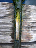 WP_20220712_08_43_24_Teichtemp_Oben.jpg