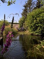 WP_20220720_10_03_55_Wetter_Sued.jpg