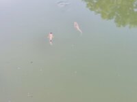 20220720_192647.jpg 20220720_192647.jpg