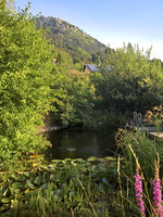 WP_20220721_07_45_20_Wetter_Nord.jpg