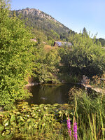 WP_20220722_09_23_00_Wetter_Nord.jpg