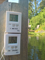 WP_20220722_09_24_46_Teichtemp.jpg