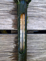 WP_20220722_09_26_14_Teichtemp_Oben.jpg