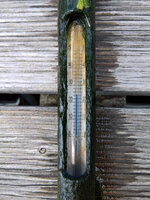 WP_20220724_10_17_49_Teichtemp_Oben.jpg
