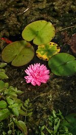 DSC_0764.JPG