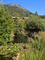 WP_20220725_10_38_31_Wetter_Nord.jpg