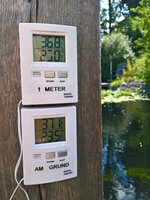 WP_20220725_14_34_50_Teichtemp.jpg