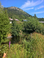 WP_20220728_11_04_45_Wetter_Nord.jpg
