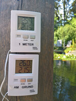 WP_20220728_11_06_43_Teichtemp.jpg