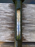 WP_20220728_11_07_30_Teichtemp_Oben.jpg
