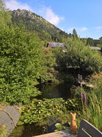 WP_20220729_09_35_02_Wetter_Nord.jpg