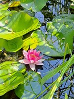 20220731_105247.jpg