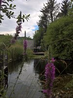 WP_20220801_10_29_21_Wetter_Süd.jpg