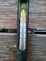 WP_20220802_10_55_05_Teichtemp_Oben.jpg