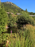 WP_20220803_10_02_13_Wetter_Nord.jpg