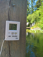 WP_20220804_10_38_09_Teichtemp.jpg