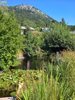 WP_20220804_10_39_49_Wetter_Nord.jpg