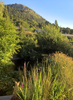 WP_20220805_07_06_23_Wetter_Nord.jpg