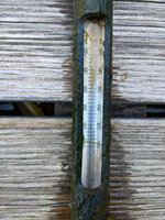 WP_20220805_07_08_00_Teichtemp_Oben.jpg