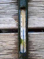 WP_20220805_17_00_14_Teichtemp_Oben.jpg