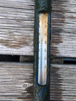 WP_20220806_10_00_30_Teichtemp_Oben.jpg