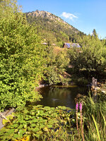 WP_20220809_09_35_57_Wetter_Nord.jpg