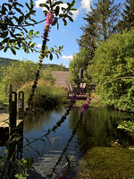 WP_20220809_09_40_25_Wetter_Sued.jpg