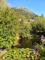 WP_20220815_10_19_20_Wetter_Nord.jpg