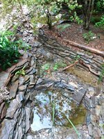 IMG_20220624_174241897.jpg