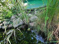 20220910_151401.jpg 20220910_151401.jpg