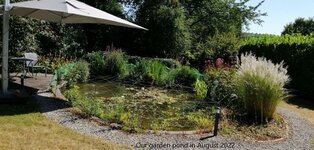 Our garden pond.jpg