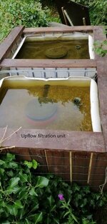 Our upflow pond filters.jpg