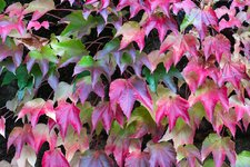20221018-20221018-DSC03533-2.jpg