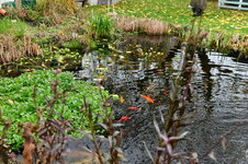 DSC_1697[1].JPG