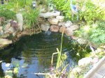 PF 7 wasser marsch.jpg