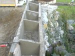 DSC00439A.jpg