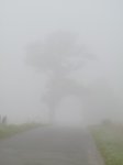 P1020169.jpg