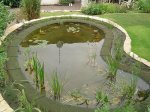 DSC09558r.JPG