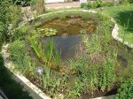 dsc10113r.JPG