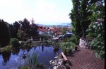 Teichblick.jpg