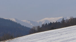 P1010182_2012-01-28_Schneeberg.JPG