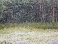 P1020775.JPG