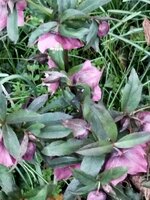 IMG_20230326_193258.jpg