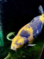 IMG_1031.jpeg