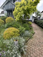IMG_3355.jpeg IMG_3355.jpeg