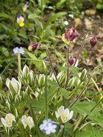 IMG_3353.jpeg IMG_3353.jpeg