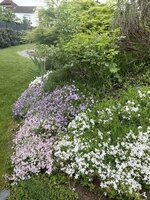 IMG_3346.jpeg IMG_3346.jpeg