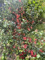 IMG_3343.jpeg IMG_3343.jpeg